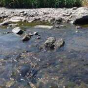 ヒメ日記 2025/06/26 13:43 投稿 すみれ 五反田・品川おかあさん