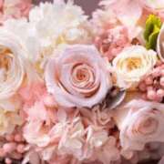 ヒラコ ヒラコです 東京★出張マッサージ委員会Z