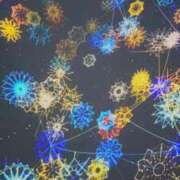 ヒメ日記 2025/09/05 00:46 投稿 月乃あかり 神戸ホットポイント