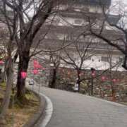 ヒメ日記 2025/03/13 08:03 投稿 ひびき 北九州人妻倶楽部（三十路、四十路、五十路）