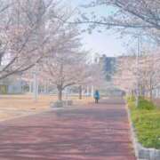 ヒメ日記 2025/04/04 08:26 投稿 ひびき 北九州人妻倶楽部（三十路、四十路、五十路）