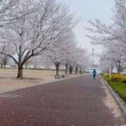 ヒメ日記 2025/04/05 08:22 投稿 ひびき 北九州人妻倶楽部（三十路、四十路、五十路）