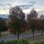 ヒメ日記 2025/11/04 07:45 投稿 ひびき 北九州人妻倶楽部（三十路、四十路、五十路）