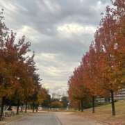 ヒメ日記 2025/11/12 09:25 投稿 ひびき 北九州人妻倶楽部（三十路、四十路、五十路）