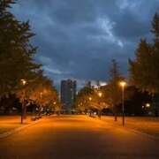 ヒメ日記 2025/11/20 07:10 投稿 ひびき 北九州人妻倶楽部(三十路、四十路、五十路)