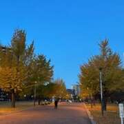 ヒメ日記 2025/11/28 07:02 投稿 ひびき 北九州人妻倶楽部(三十路、四十路、五十路)