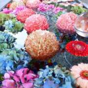 ヒメ日記 2025/04/02 13:48 投稿 蘭（らん） あなたの妻