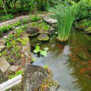 ヒメ日記 2025/04/17 12:18 投稿 蘭（らん） あなたの妻