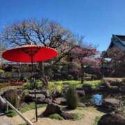 ヒメ日記 2025/04/18 12:28 投稿 蘭（らん） あなたの妻