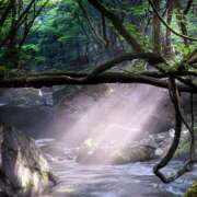 ヒメ日記 2025/04/20 12:52 投稿 蘭（らん） あなたの妻