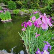 ヒメ日記 2025/04/21 12:31 投稿 蘭（らん） あなたの妻