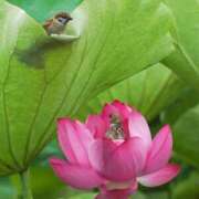 ヒメ日記 2025/04/22 13:22 投稿 蘭（らん） あなたの妻