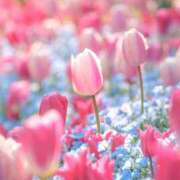 ヒメ日記 2025/07/31 18:01 投稿 蘭（らん） あなたの妻