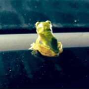 ヒメ日記 2025/09/04 18:01 投稿 蘭（らん） あなたの妻