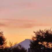 ヒメ日記 2025/09/07 17:46 投稿 蘭（らん） あなたの妻