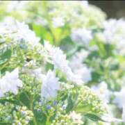 ヒメ日記 2025/09/10 17:50 投稿 蘭（らん） あなたの妻