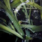 ヒメ日記 2025/09/13 18:03 投稿 蘭（らん） あなたの妻