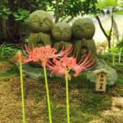 ヒメ日記 2025/09/16 17:58 投稿 蘭（らん） あなたの妻