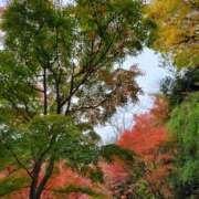 ヒメ日記 2025/09/28 17:58 投稿 蘭（らん） あなたの妻