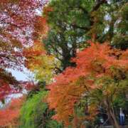 ヒメ日記 2025/10/30 17:33 投稿 蘭（らん） あなたの妻