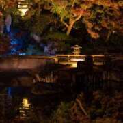 ヒメ日記 2025/12/26 18:11 投稿 蘭（らん） あなたの妻