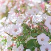 ヒメ日記 2026/03/17 19:11 投稿 蘭（らん） あなたの妻