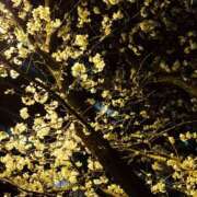 ヒメ日記 2026/04/04 10:01 投稿 蘭（らん） あなたの妻