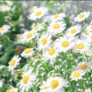 ヒメ日記 2026/04/09 18:06 投稿 蘭（らん） あなたの妻