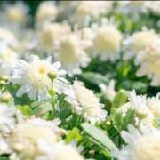 ヒメ日記 2026/04/14 18:11 投稿 蘭（らん） あなたの妻