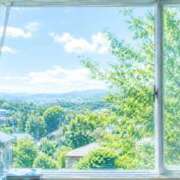 ヒメ日記 2026/05/15 11:58 投稿 蘭（らん） あなたの妻