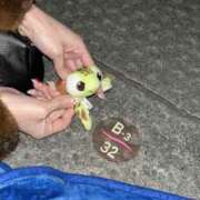 ヒメ日記 2025/03/01 12:46 投稿 アユミ ラブコレクション