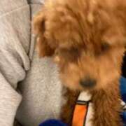 ヒメ日記 2025/06/17 06:16 投稿 アユミ ラブコレクション