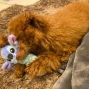 ヒメ日記 2025/07/03 23:16 投稿 アユミ ラブコレクション