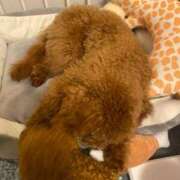 ヒメ日記 2025/07/13 20:16 投稿 アユミ ラブコレクション