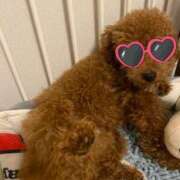 ヒメ日記 2025/07/29 14:01 投稿 アユミ ラブコレクション