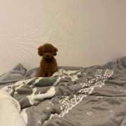 ヒメ日記 2025/08/10 17:01 投稿 アユミ ラブコレクション