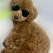 ヒメ日記 2025/08/20 14:31 投稿 アユミ ラブコレクション