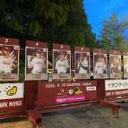 ヒメ日記 2025/09/30 11:46 投稿 アユミ ラブコレクション