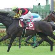 ヒメ日記 2025/12/28 17:46 投稿 アユミ ラブコレクション