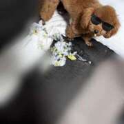 ヒメ日記 2026/02/07 22:01 投稿 アユミ ラブコレクション