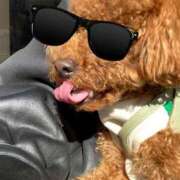 ヒメ日記 2026/02/20 13:16 投稿 アユミ ラブコレクション