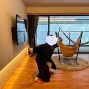 ヒメ日記 2026/03/07 17:31 投稿 アユミ ラブコレクション