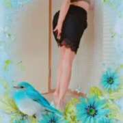 ヒメ日記 2025/01/24 11:53 投稿 いちの 奥鉄オクテツ兵庫