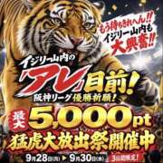 ヒメ日記 2026/09/28 11:28 投稿 いちの 奥鉄オクテツ兵庫
