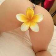 ヒメ日記 2025/09/14 13:17 投稿 ゆきな 奥鉄オクテツ兵庫