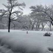 ヒメ日記 2026/01/30 08:38 投稿 ゆきな 奥鉄オクテツ兵庫