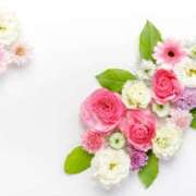 ヒメ日記 2025/04/13 08:27 投稿 こまち 奥鉄オクテツ兵庫