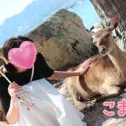 ヒメ日記 2025/06/26 10:40 投稿 こまち 奥鉄オクテツ兵庫