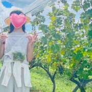 ヒメ日記 2025/07/16 07:36 投稿 こまち 奥鉄オクテツ兵庫