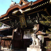 ヒメ日記 2026/01/17 07:20 投稿 こまち 奥鉄オクテツ兵庫